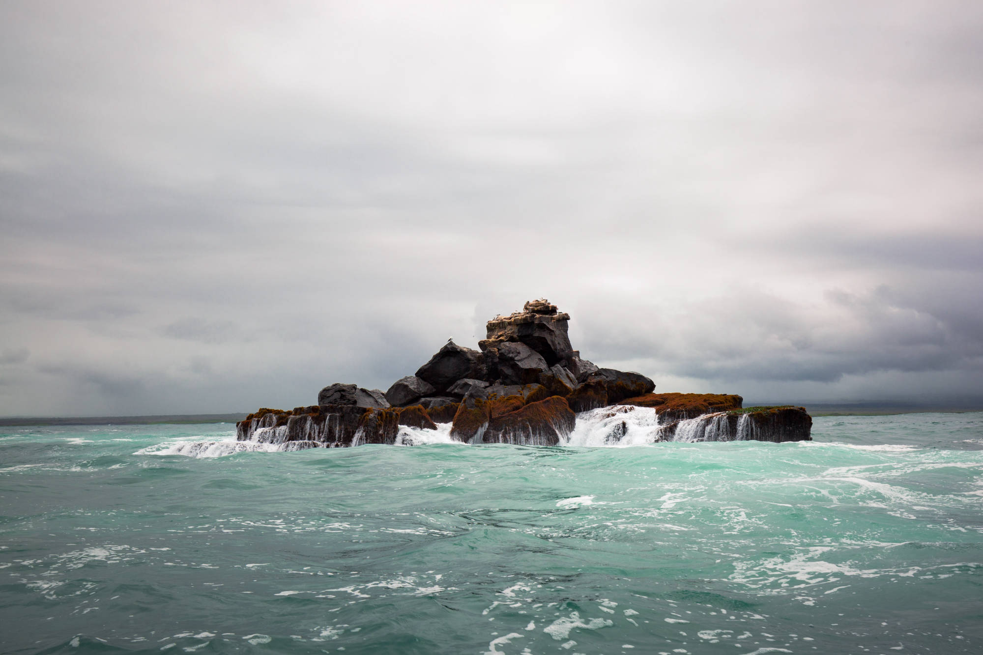 ÎLES GALAPAGOS / RÉCIF