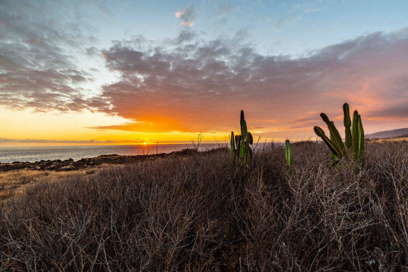 ÎLE DE LA RÉUNION / SOLEIL COUCHANT